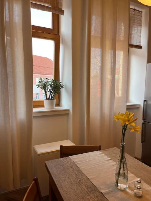 Apartman Pod Valdickou Branou Jičín Exterior foto